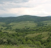Cybertaxonomic approach in phylogenetic studies on model genera of invertebrate animals (Invertebrata, Arachnida, Insecta) for elucidating issues regarding the origin, formation, and conservation of the invertebrate fauna of the Balkan Peninsula