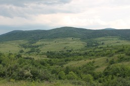 Cybertaxonomic approach in phylogenetic studies on model genera of invertebrate animals (Invertebrata, Arachnida, Insecta) for elucidating issues regarding the origin, formation, and conservation of the invertebrate fauna of the Balkan Peninsula