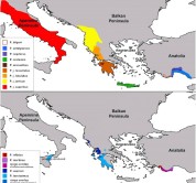 Phylogeographic routes and barriers between the Balkans, Carpathians and Asia Minor: a combined evolutionary-ecological study on a model insect group (Insecta: Orthoptera: Barbitistini)