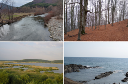 Distributed Research Infrastructure “Bulgarian Network for Long-Term Ecosystem Research”
